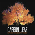 Carbon Leaf | Nothing Rhymes with Woman | CD