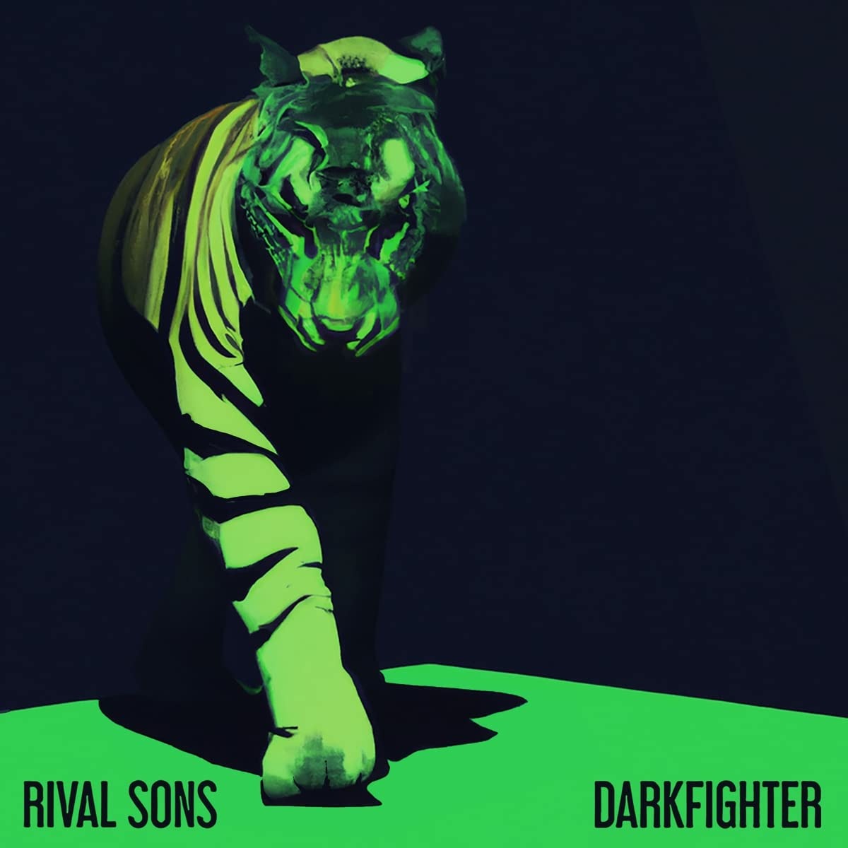 Rival Sons | Darkfighter | CD