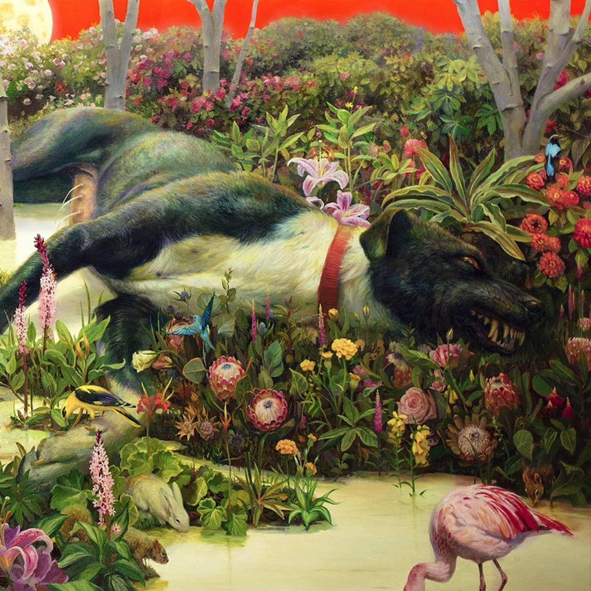Rival Sons | Feral Roots | CD