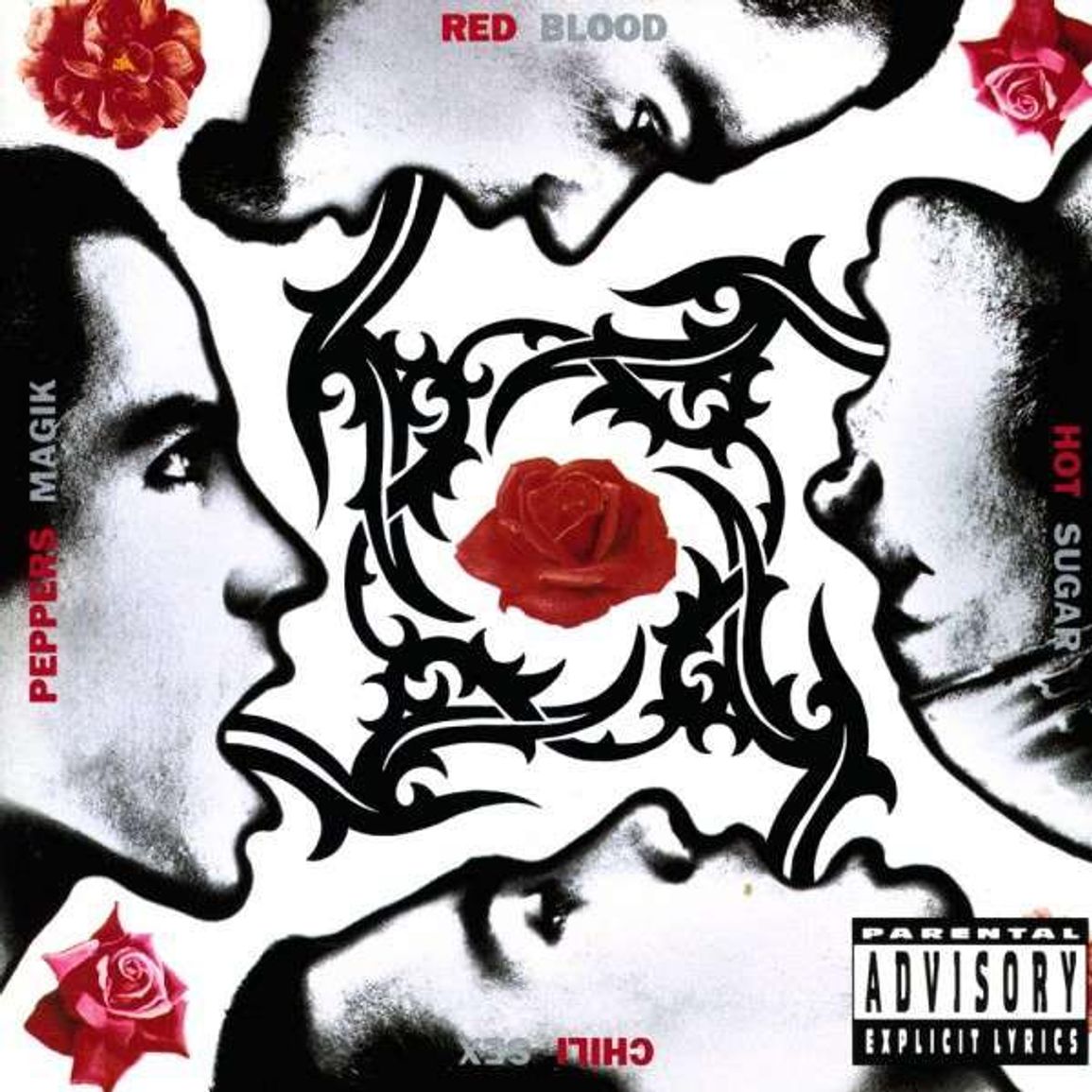 Red Hot Chili Peppers | Blood Sugar Sex Magik | 2LP front cover