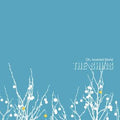 The Shins | Oh, Inverted World | CD