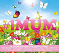 Various Artists | #1 Album: Mum | 3CD