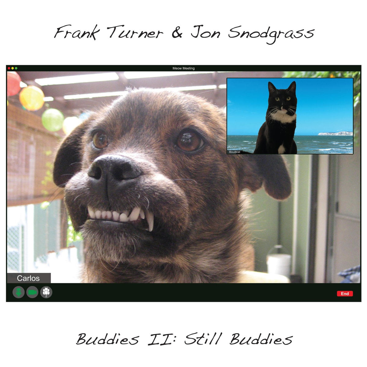 Turner, Frank & Jon Snodgrass | Buddies II Still Buddies (Sil | 1LP