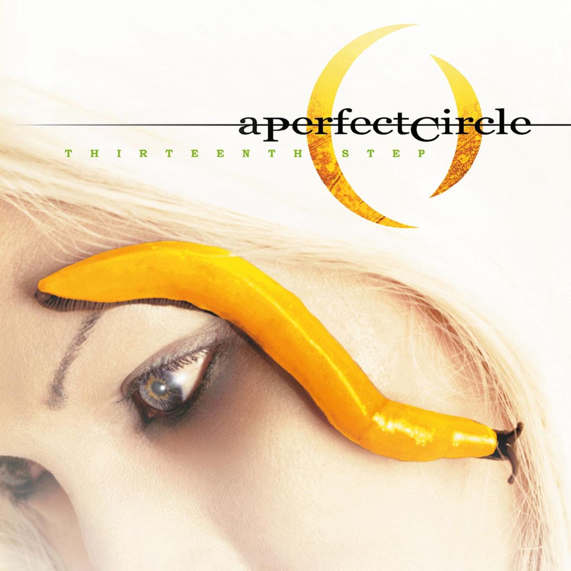 A Perfect Circle | Thirteenth Step | 2LP