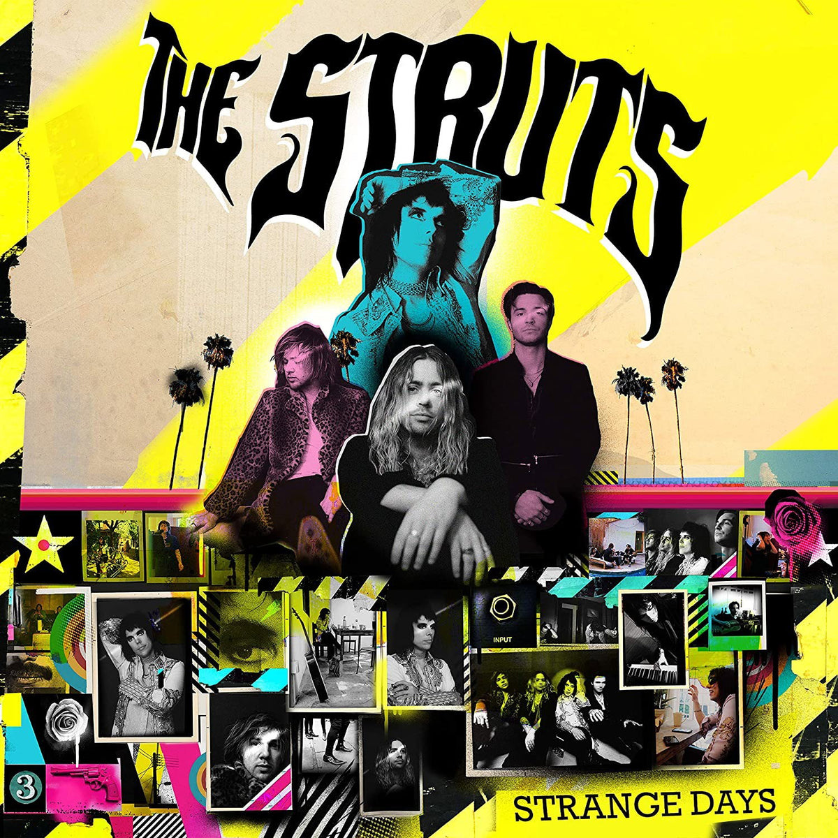 Struts | Strange Days | CD