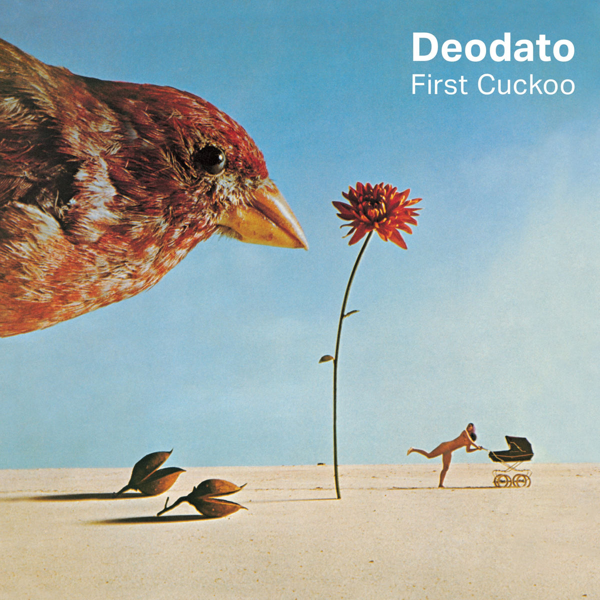 Album front cover