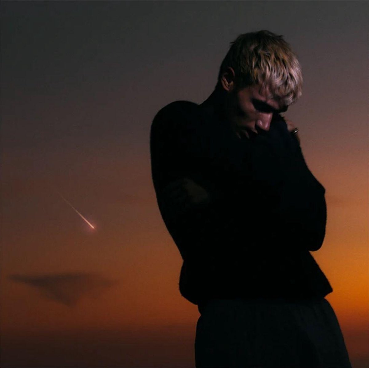 Zucker, Jeremy | Love Is Not Dying | 1LP