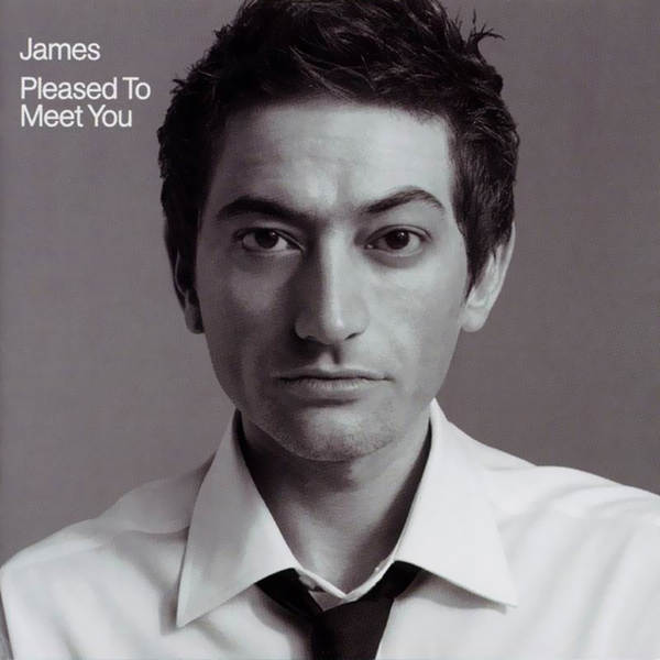 James | Pleased To Meet You | 2LP