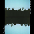 Maggie Rogers | Now That The Light Is Fading | CD