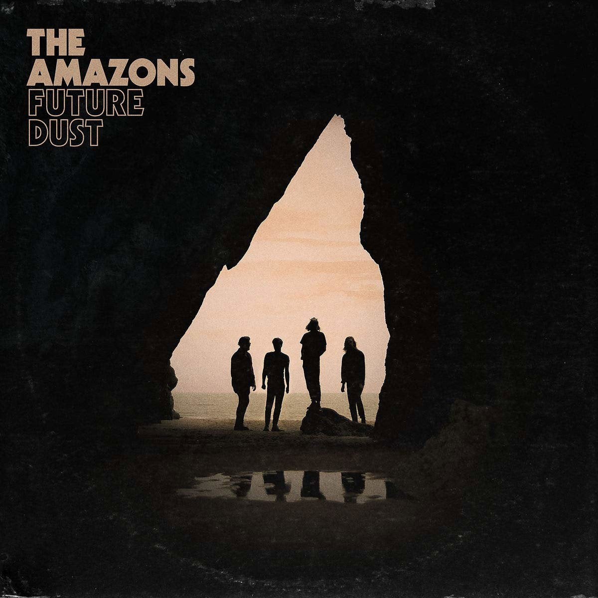 The Amazons | Future Dust | 1LP