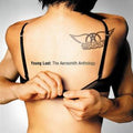 Aerosmith | Young Lust: The Aerosmith Anthology | 2CD