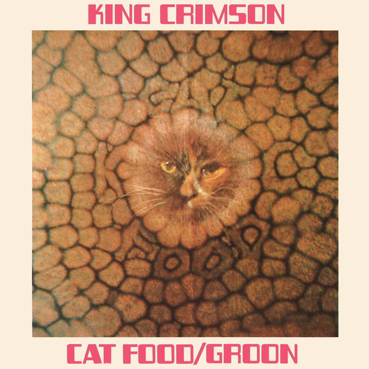 King Crimson | Cat Food - 10inch EP (10in / 50th) | 10-INCH VINYL front cover