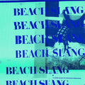 Beach Slang | A Loud Bash of Teenage Feelings | 1LP
