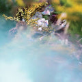bEEdEEgEE | SUM/ONE | CD