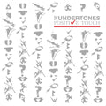 The Undertones | Positive Touch | 1LP