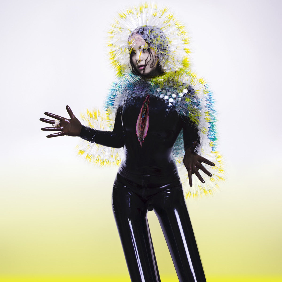 Bjork | Vulnicura | CD
