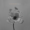 The Naked and Famous | In Rolling Waves | CD