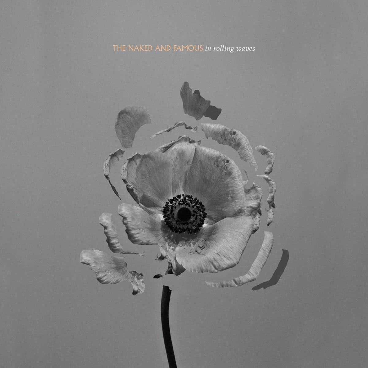 The Naked and Famous | In Rolling Waves | CD