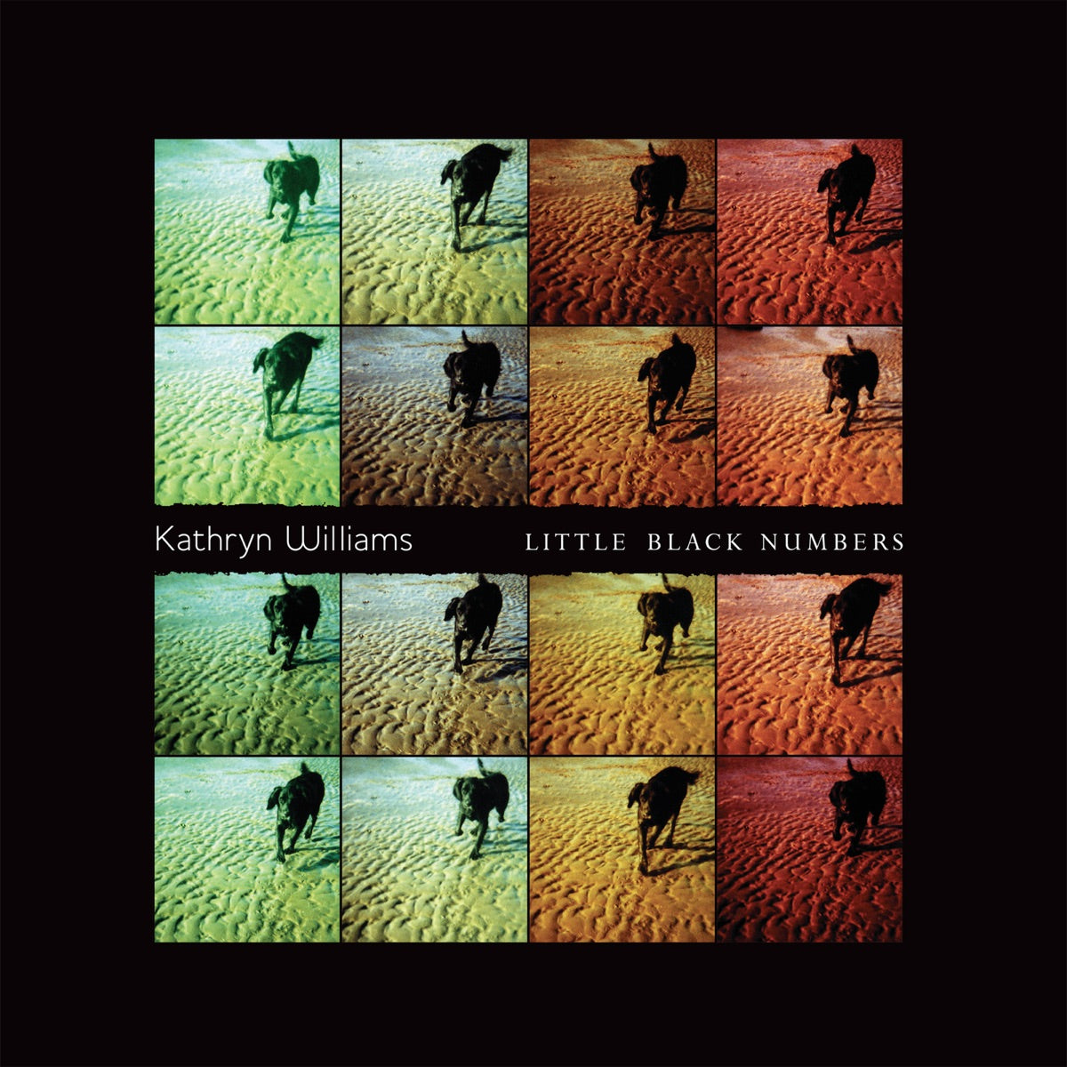 Kathryn Williams | Little Black Numbers | CD