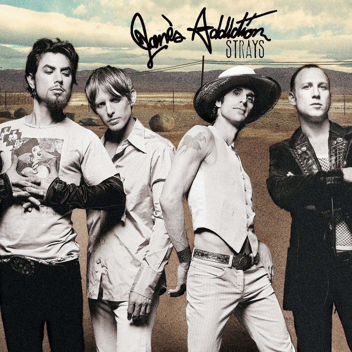 Janes Addiction | Strays | CD