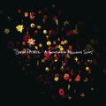 Snow Patrol | A Hundred Million Su | CD