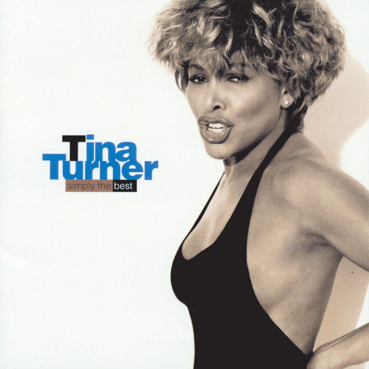Turner, Tina | Simply The Best | CD