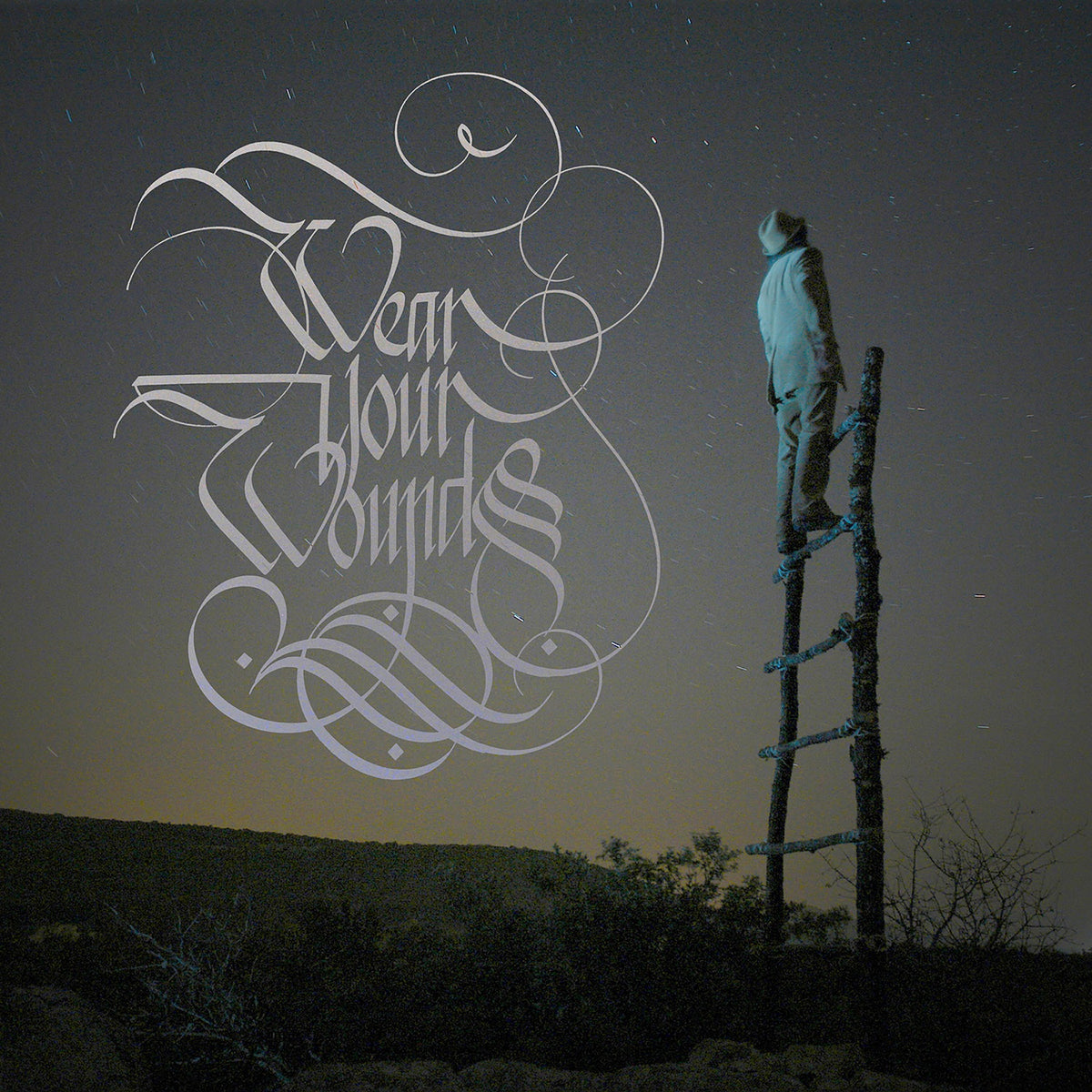 Wear Your Wounds | WYW | CD