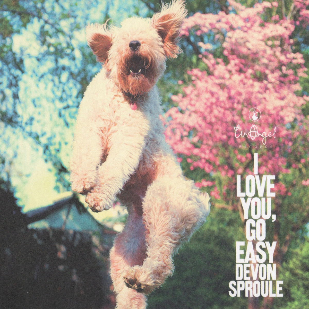 Sproule, Devon | I Love You, Go Easy | CD