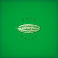 Spiritualized | Pure Phase | CD