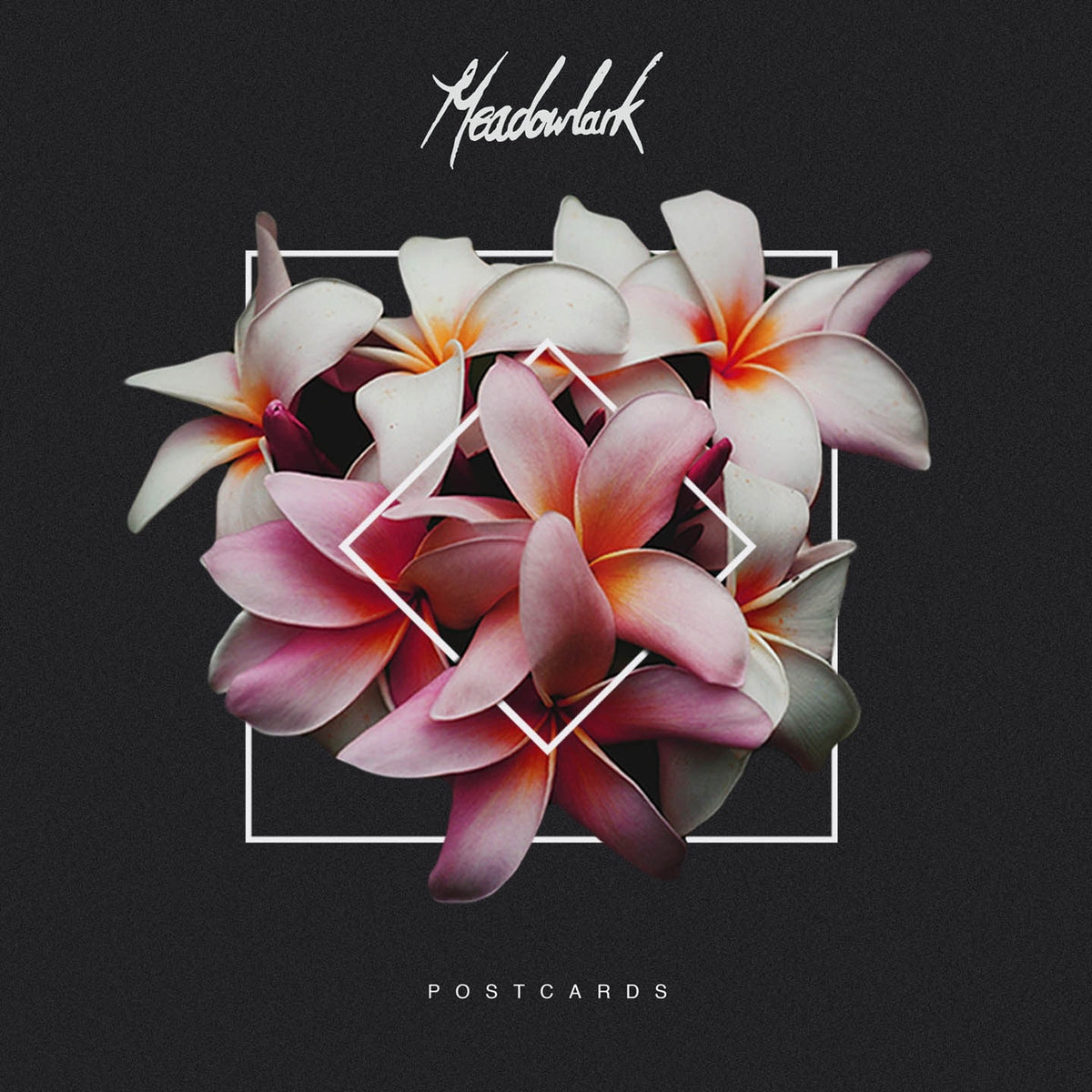 Meadowlark | Postcards | CD