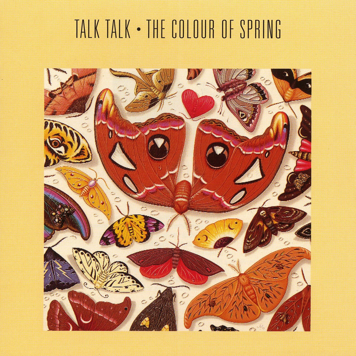 Talk Talk | Colour Of Spring, The | 3CD