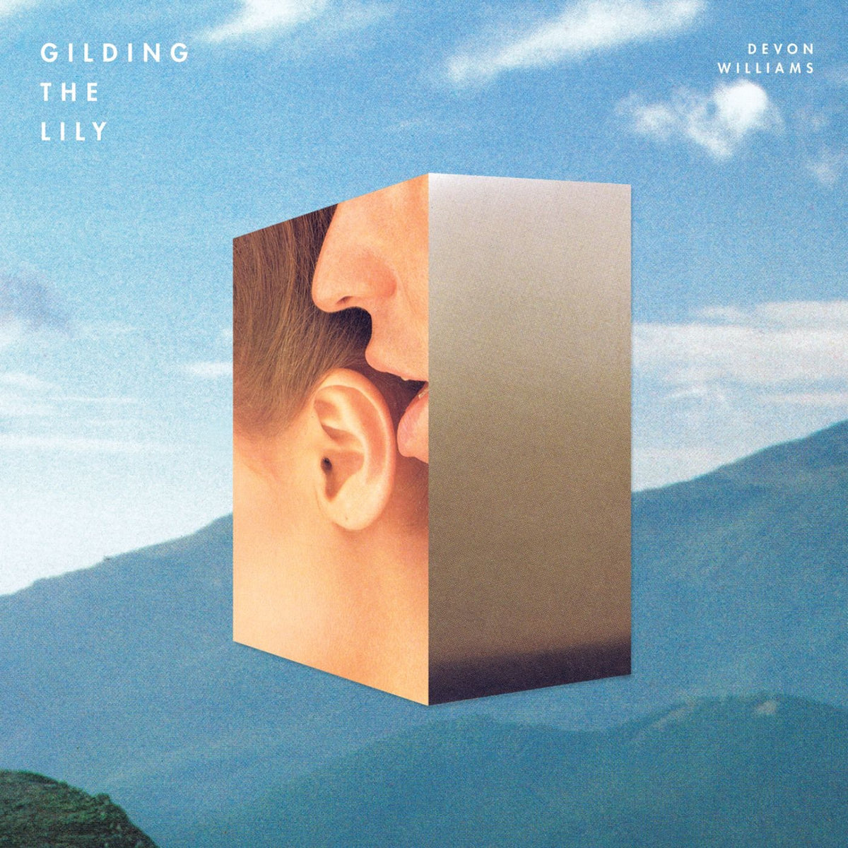 Williams, Devon | Gilding The Lily | CD