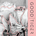 Good Tiger | We Will All Be Gone | CD
