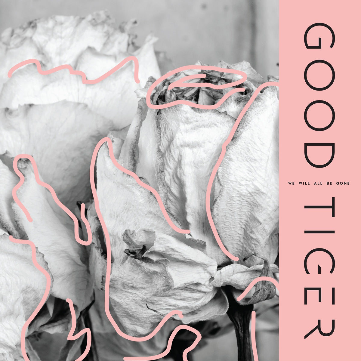 Good Tiger | We Will All Be Gone | CD