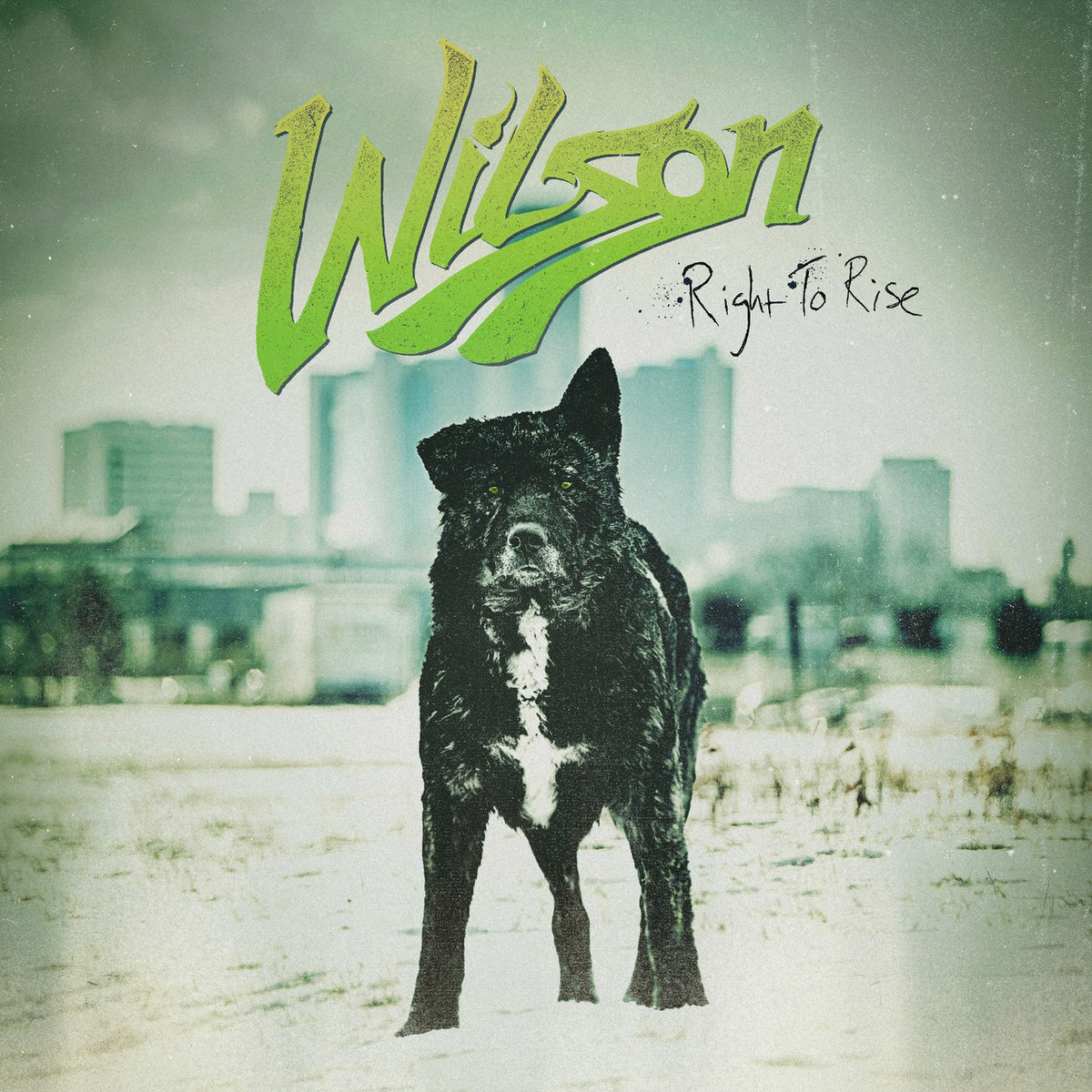 Wilson | Right To Rise | CD