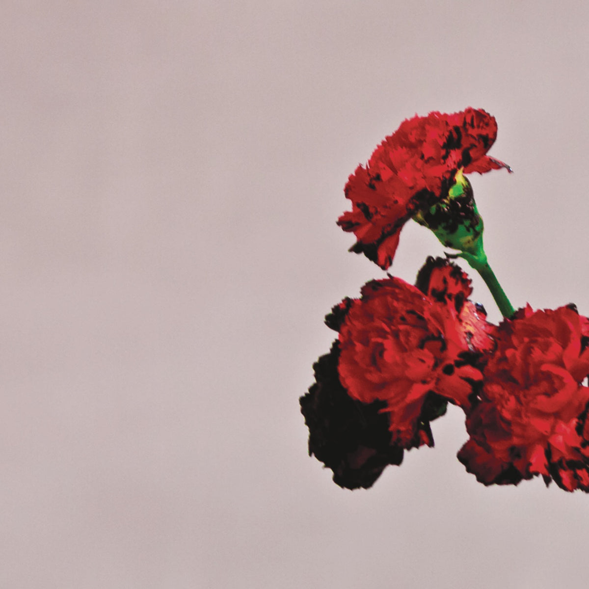 John Legend | Love In The Future -DLX- | CD
