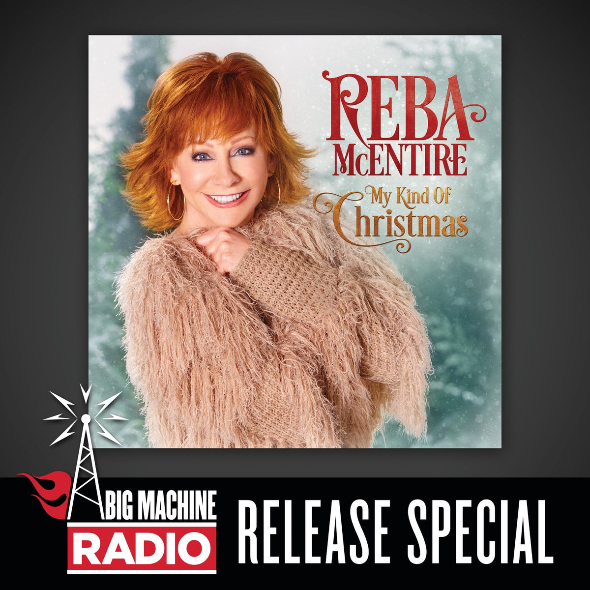 Reba Mcentire | My Kind Of Christmas | CD