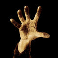 System Of A Down | System Of Down | CD
