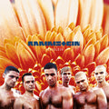 Rammstein | Herzeleid | CD