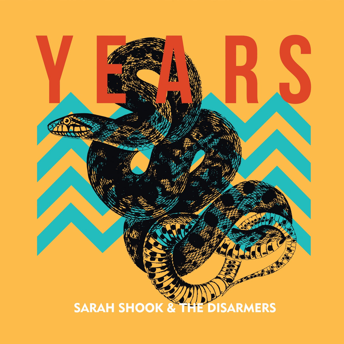 Sarah Shook & The Disarmers | Years | CD