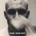 Gray, David | Flesh | CD