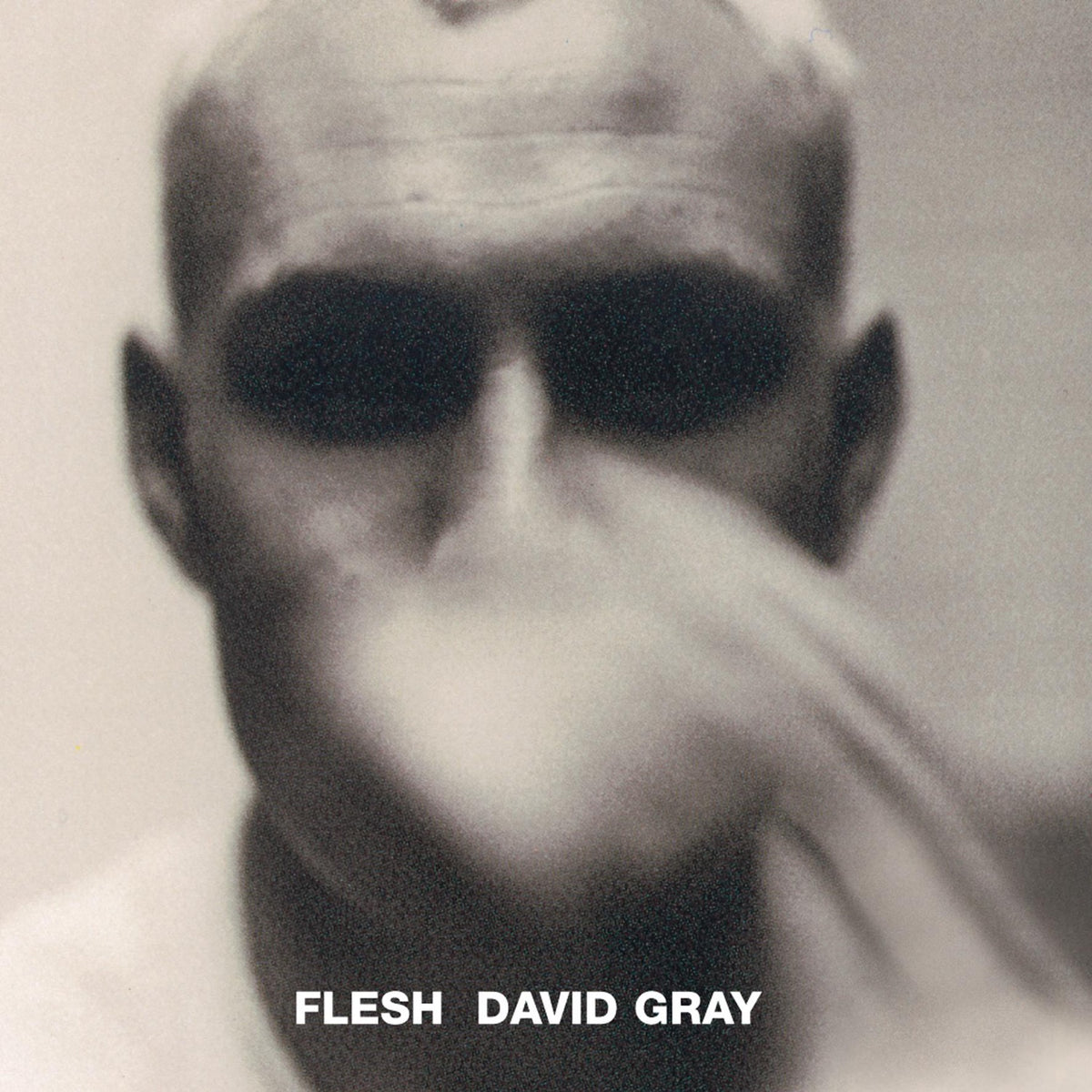 Gray, David | Flesh | CD