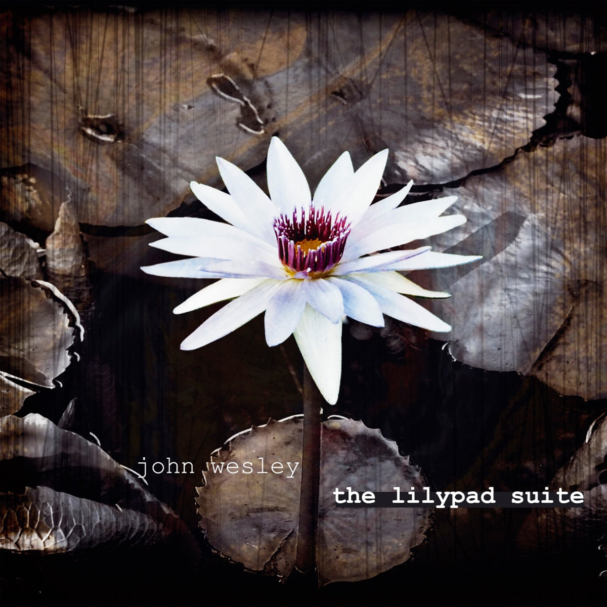 John Wesley | Lilypad Suite | CD