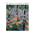 Will Stratton | Changing Wilderness | CD