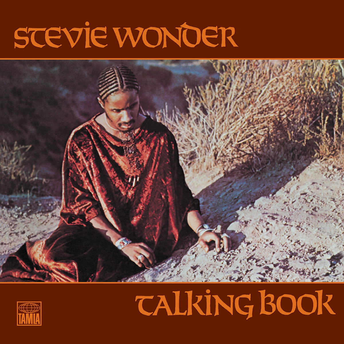 Wonder, Stevie | Talking Book | CD