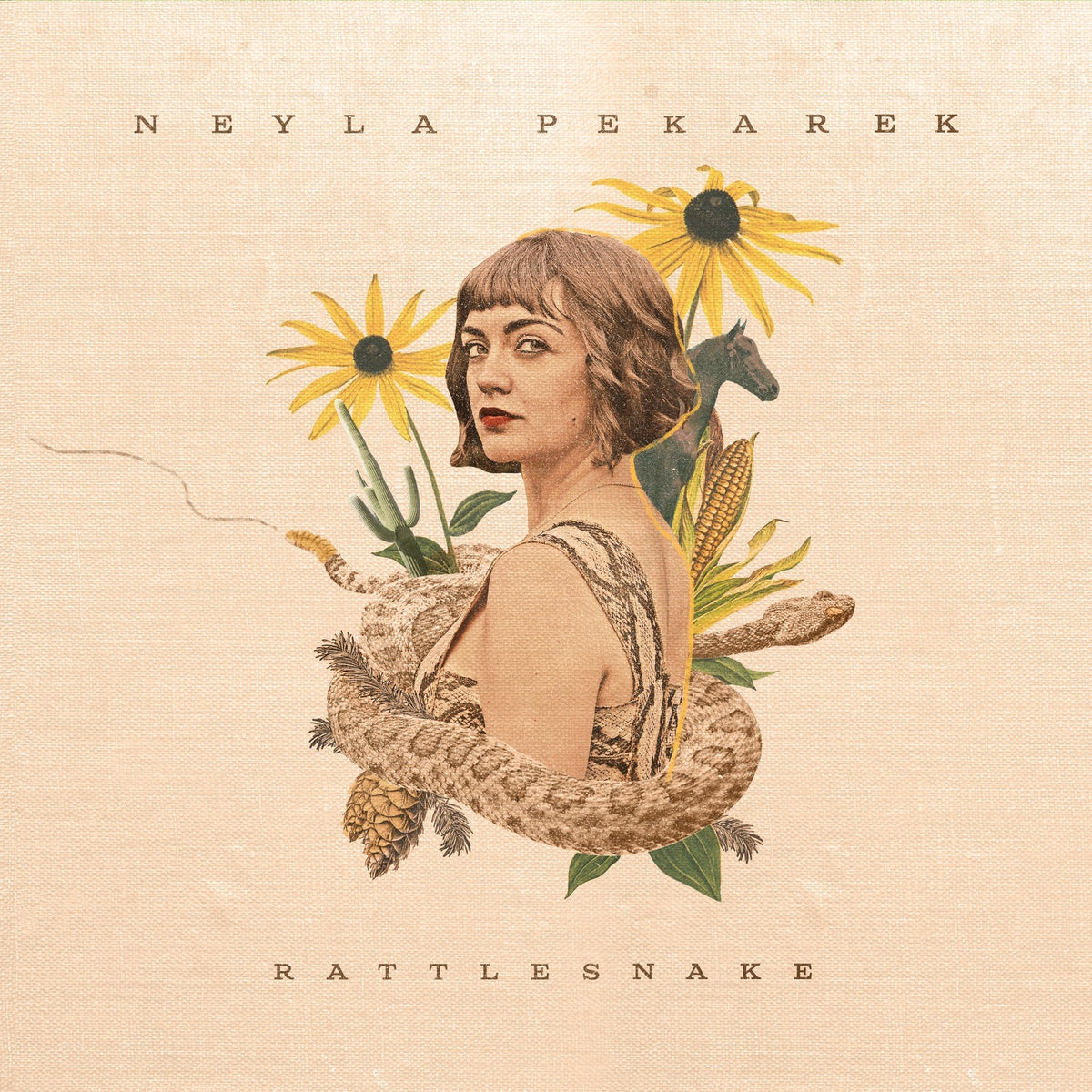 Neyla Pekarek | Rattlesnake | CD