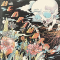 Shins | Heartworms | CD