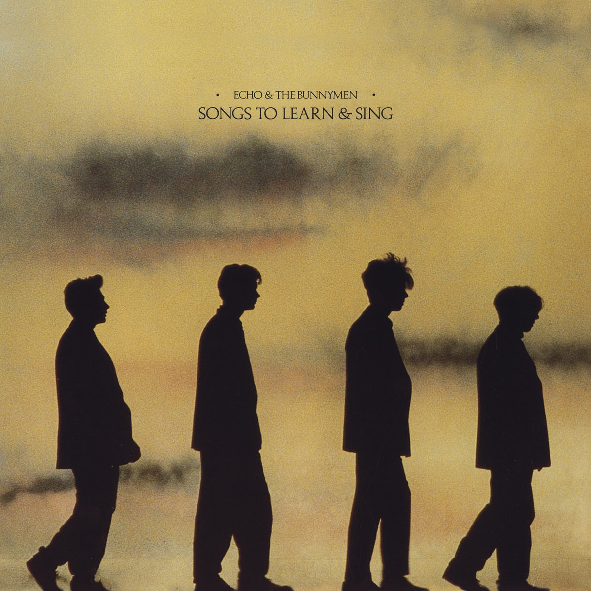 Various | Echo & The Bunnymen | CD