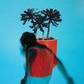 Local Natives | Sunlit Youth | CD
