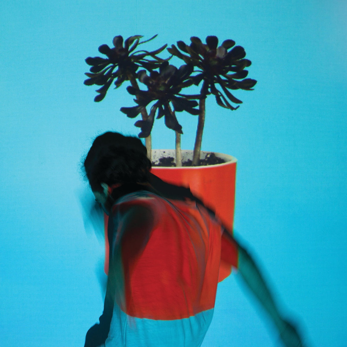 Local Natives | Sunlit Youth | CD